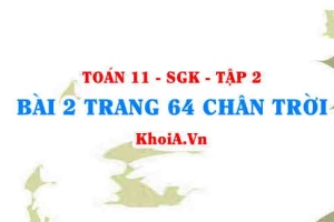 Bài 2 trang 64 Toán 11 Tập 2 Chân trời sáng tạo